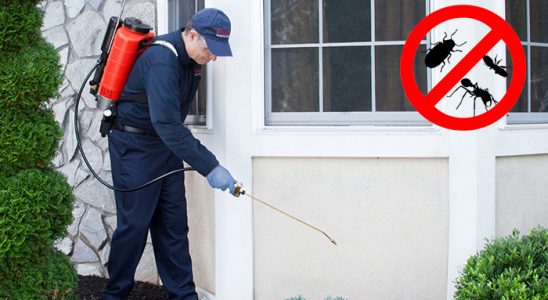 Alaçam Kemirgen İlaçlama böcek ilaçlama ve haşere kontrolü — ilaclama-tr.com